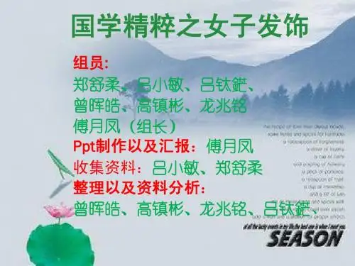 国学精粹之女子发饰