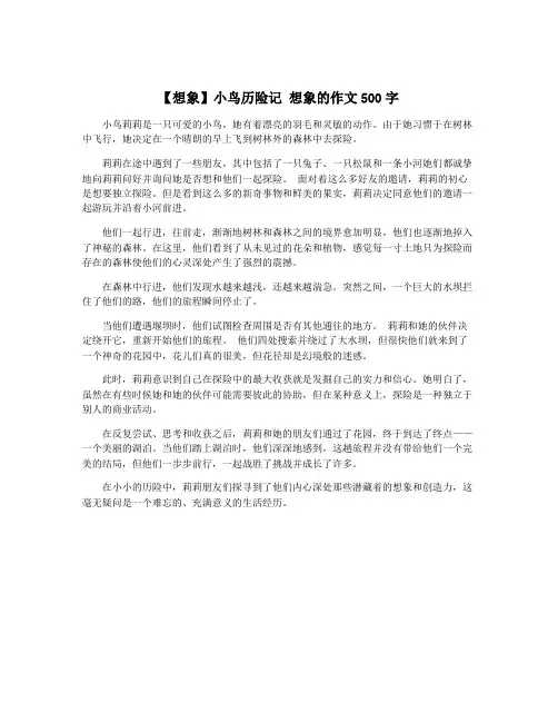 【想象】小鸟历险记 想象的作文500字