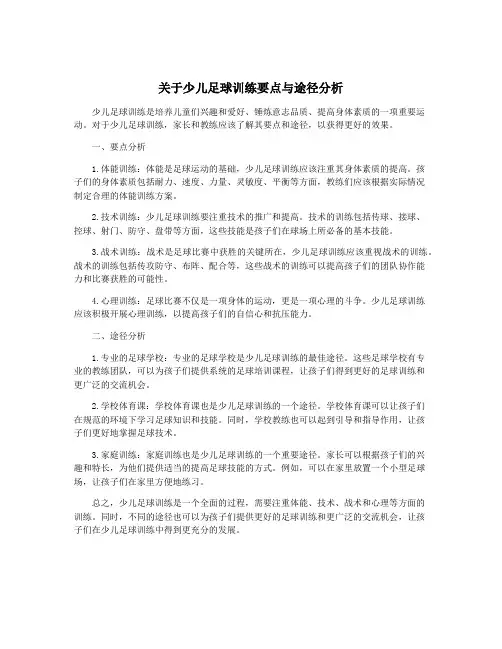 关于少儿足球训练要点与途径分析