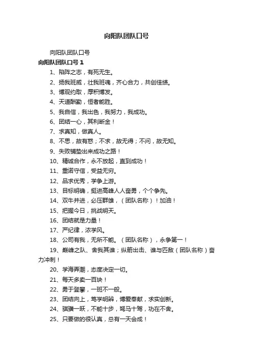向阳队团队口号
