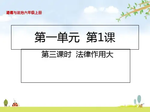 法律作用大课件(20张PPT)