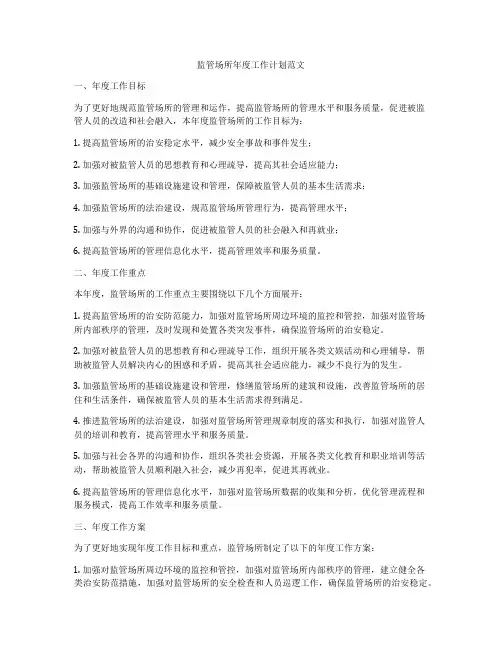 监管场所年度工作计划范文