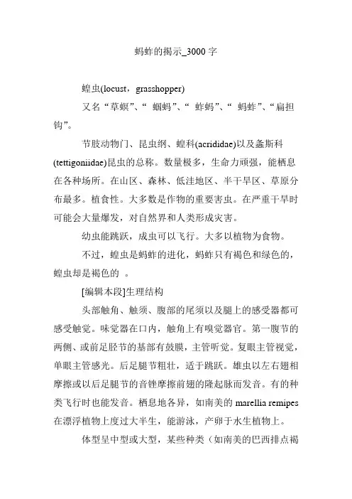 蚂蚱的揭示_3000字