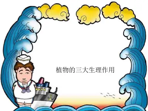 人教版初中生物七年级上册专题复习：植物的三大生理作用 课件(共29张PPT)