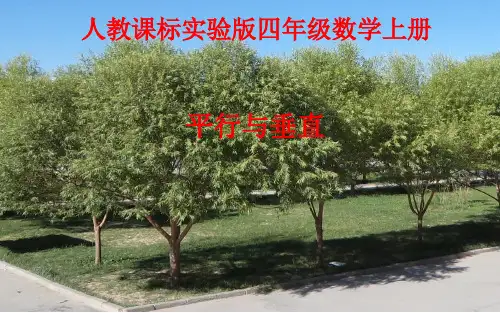 人教版《平行与垂直》(完美版)PPT课件2