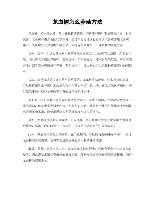 龙血树怎么养殖方法