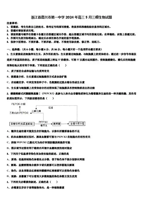浙江省嘉兴市第一中学2024年高三5月三模生物试题含解析