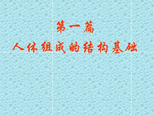 运动解剖学---第三章  细胞组织部分