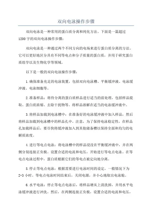 双向电泳操作步骤