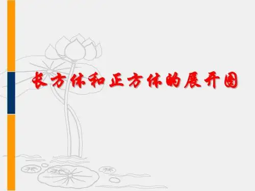 长方体和正方体的展开图
