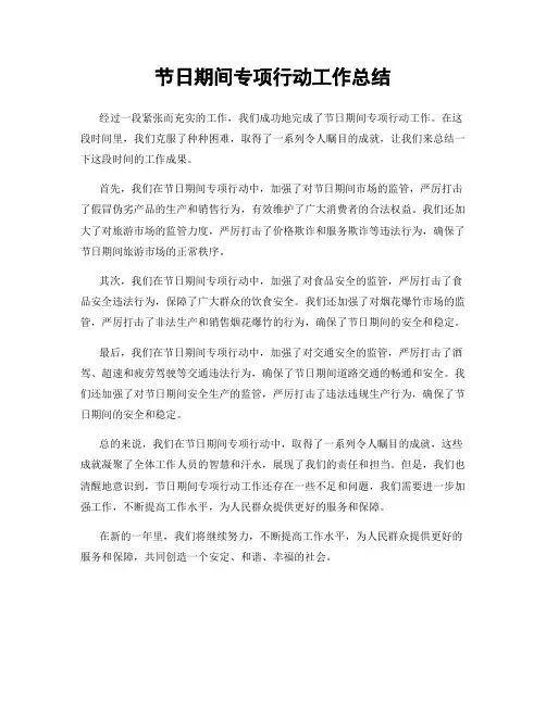 节日期间专项行动工作总结