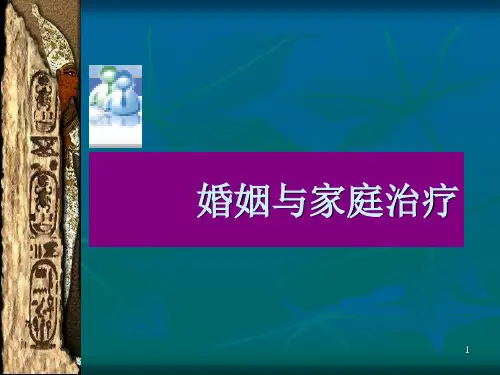 14婚姻与家庭治疗