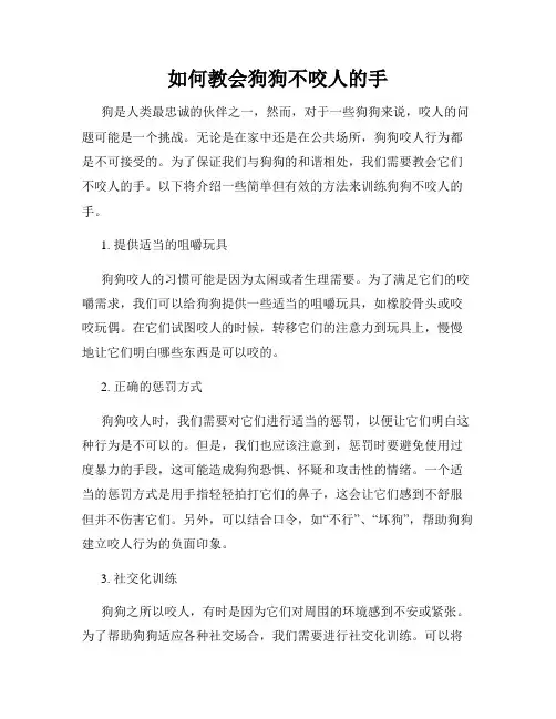 如何教会狗狗不咬人的手