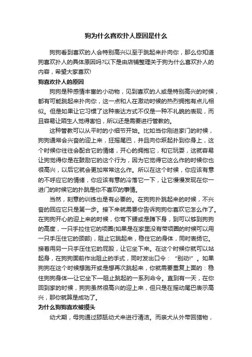狗为什么喜欢扑人原因是什么