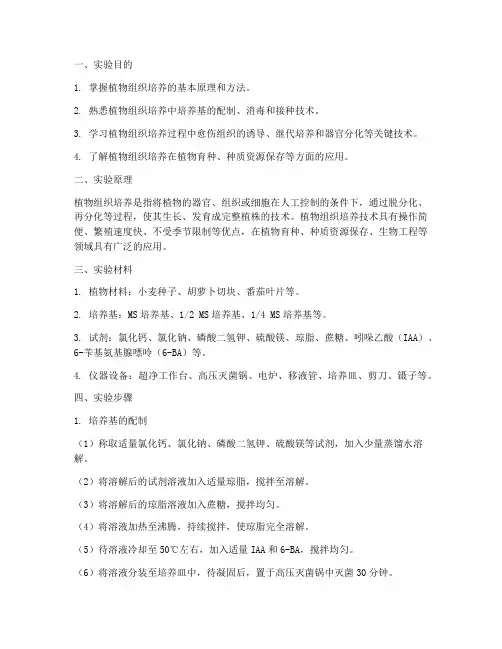 组织培养的实验报告