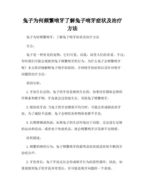 兔子为何频繁啃牙了解兔子啃牙症状及治疗方法