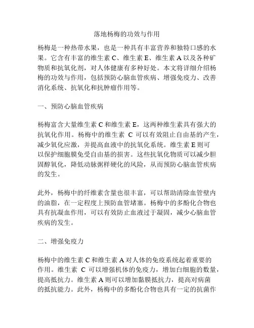 落地杨梅的功效与作用