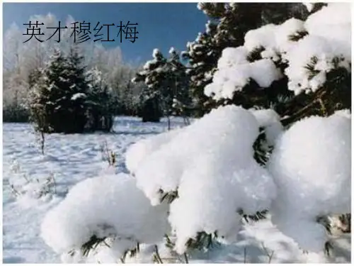 《松坊溪的冬天新》PPT课件