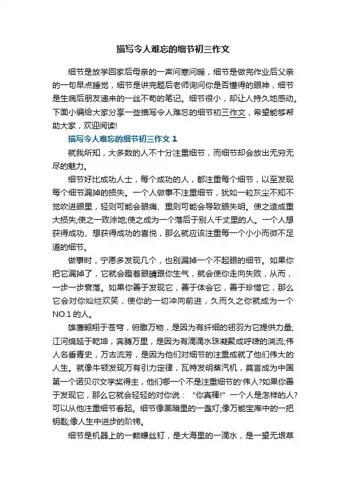 描写令人难忘的细节初三作文