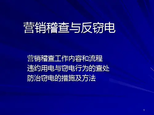 防窃电技术PPT课件