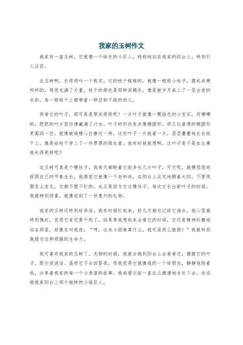 我家的玉树作文