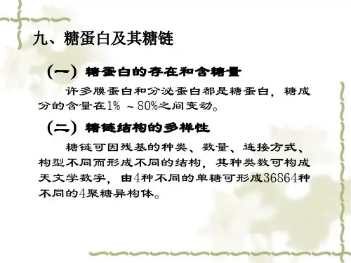 糖生物化学3