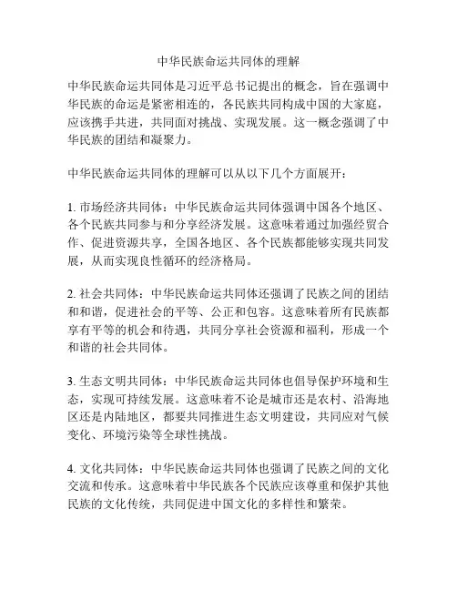中华民族命运共同体的理解