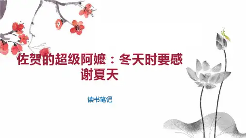 佐贺的超级阿嬷：冬天时要感谢夏天