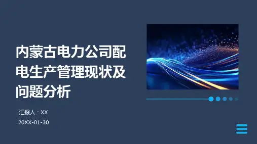 内蒙古电力公司配电生产管理现状及问题分析