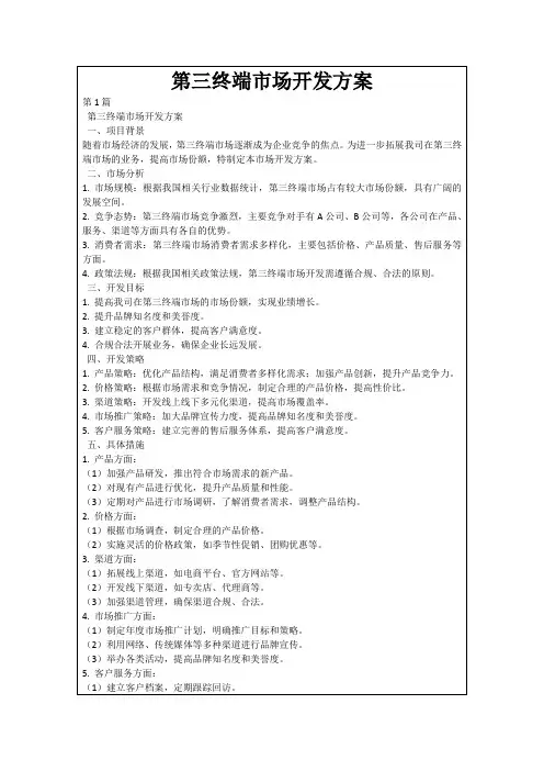 第三终端市场开发方案