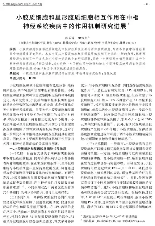 小胶质细胞和星形胶质细胞相互作用在中枢神经系统疾病中的作用机