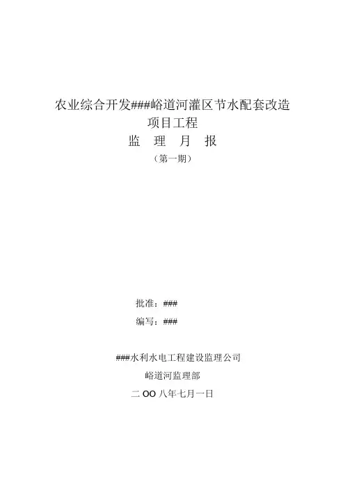 河道监理月报