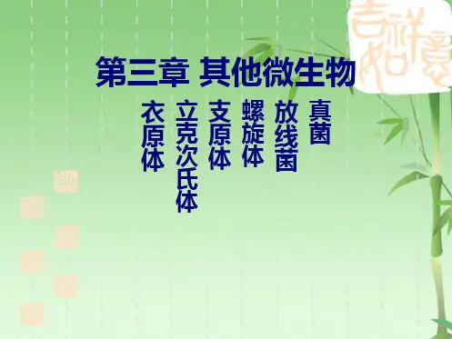 其他微生物(共54张PPT)