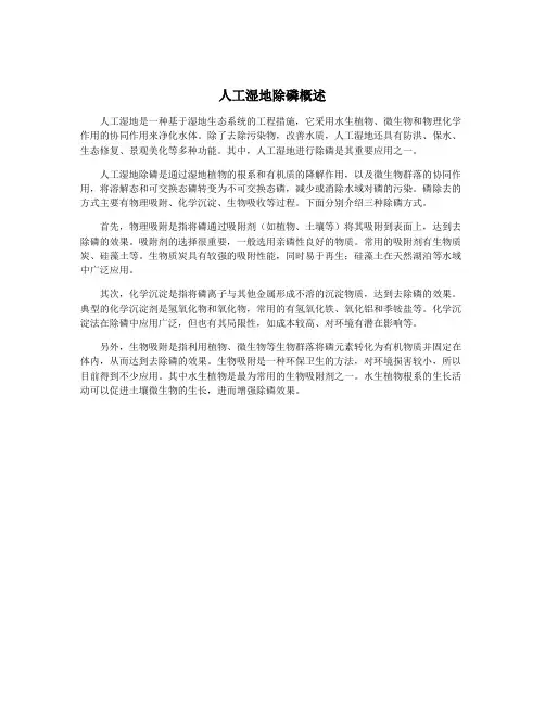 人工湿地除磷概述
