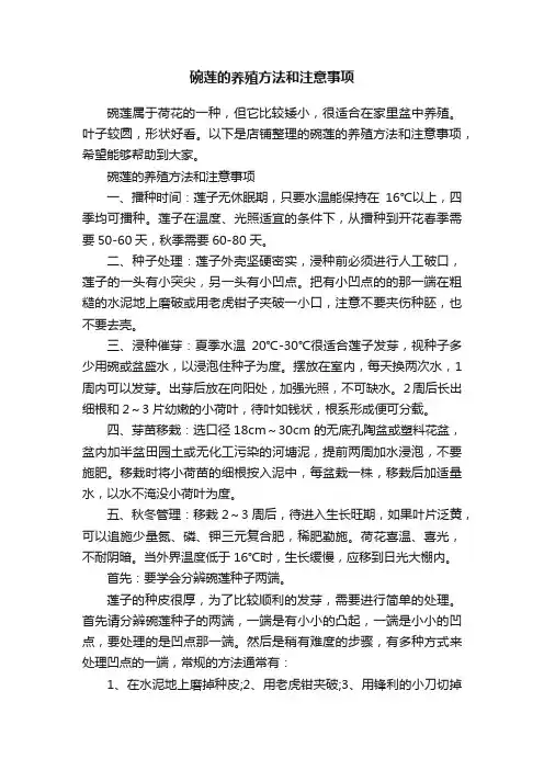 碗莲的养殖方法和注意事项