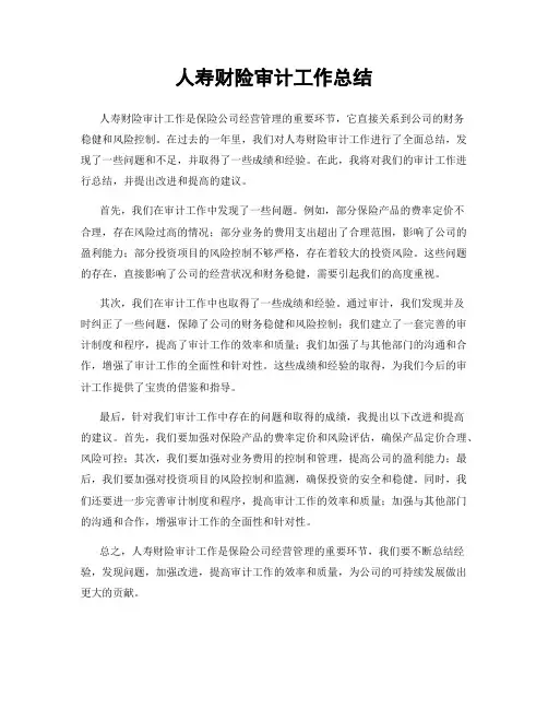 人寿财险审计工作总结