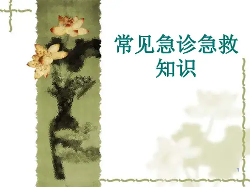 常见急诊急救知识 ppt课件
