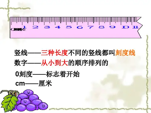 《厘米的认识》课件