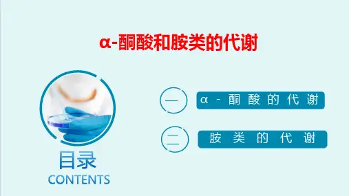 氨基酸代谢—氨基酸分解产物的代谢(生物化学课件)