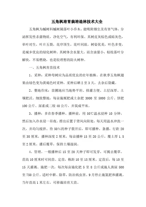 五角枫培育栽培造林技术大全