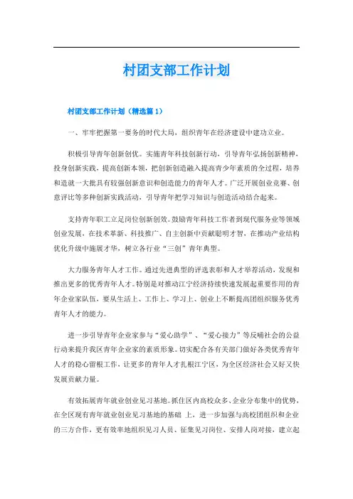 村团支部工作计划