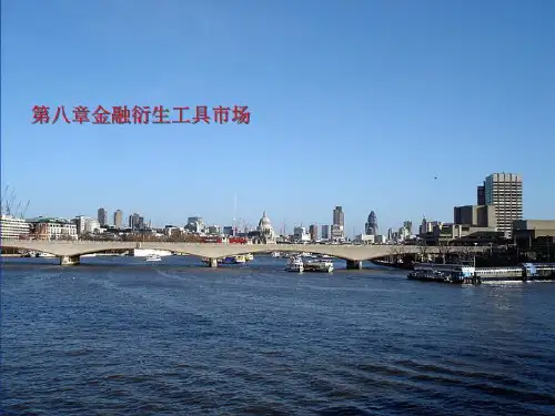第八章金融衍生工具市场