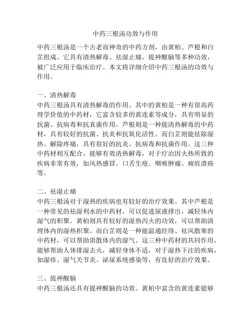 中药三根汤功效与作用