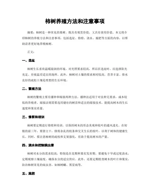 柿树养殖方法和注意事项