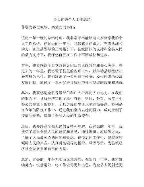 县长优秀个人工作总结