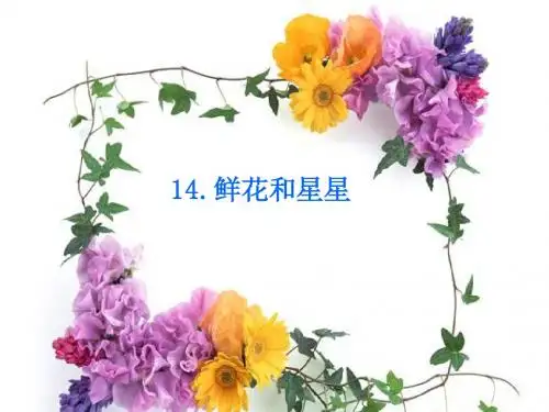 鲜花和星星课件