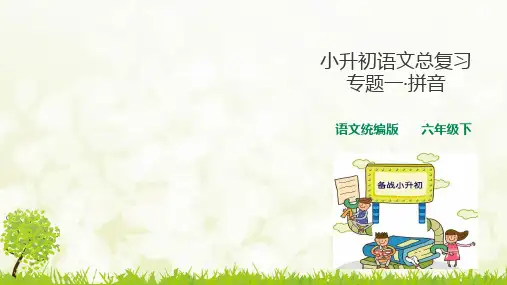 人教统编版小升初语文总复习专题(拼音+汉字)PPT课件