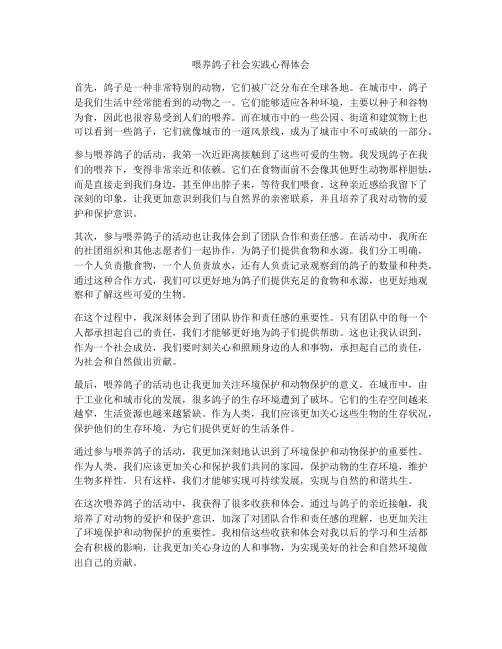 喂养鸽子社会实践心得体会