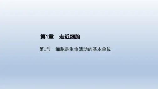 2021版(新教材)人教生物必修1课件第1章  走近细胞  第1节 细胞是生命活动的基本单位