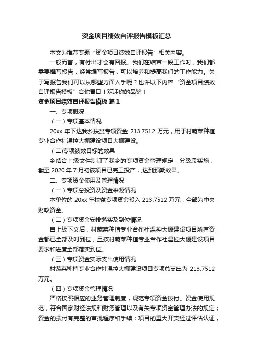 资金项目绩效自评报告模板汇总